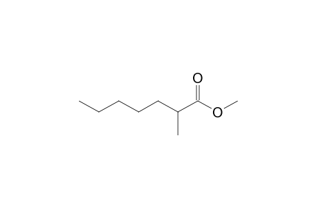 Heptanoic acid, 2-methyl-, methyl ester