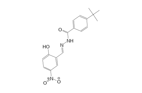 4-tert-butyl-N'-[(E)-(2-hydroxy-5-nitrophenyl)methylidene]benzohydrazide