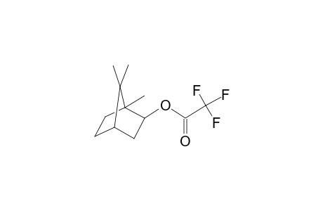1,7,7-Trimethylbicyclo[2.2.1]hept-2-yl trifluoroacetate