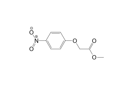 4-Nitrophenoxyacetic acid methyl ester