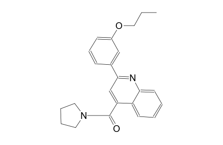 2-(3-propoxyphenyl)-4-(1-pyrrolidinylcarbonyl)quinoline