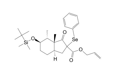 Allyl 4.beta.-tert-Butyldimethylsilyloxy-5.alpha.,6.beta.-dimethyl-7-oxo-8-phenylseleno-cis-bicyclo[4.3.0]nonane-8-carboxylate