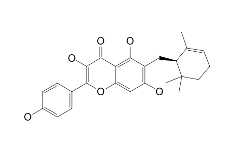 UGONIN-G;3,5,7,4'-TETRAHYDROXY-6-(2,6,6-TRIMETHYL-2-CYClOHEXENYLMETHYL)-FLAVONE