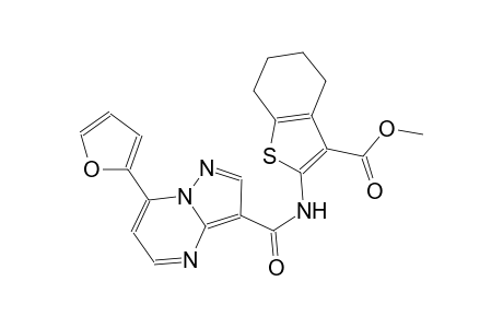 methyl 2-({[7-(2-furyl)pyrazolo[1,5-a]pyrimidin-3-yl]carbonyl}amino)-4,5,6,7-tetrahydro-1-benzothiophene-3-carboxylate