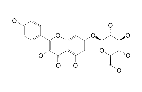 KAEMPFEROL-7-O-BETA-GLUCOPYRANOSIDE