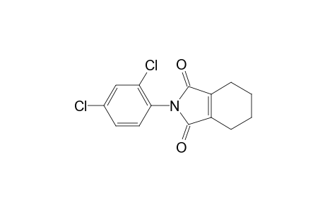 1H-Isoindole-1,3(2H)-dione, 2-(2,4-dichlorophenyl)-4,5,6,7-tetrahydro-