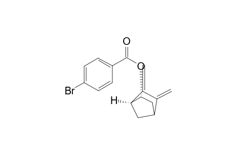 Benzoic acid, 4-bromo-, 5,6-bis(methylene)bicyclo[2.2.1]hept-2-yl ester, (1S-endo)-