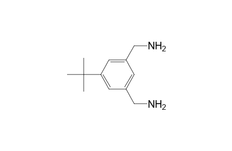 [3-(aminomethyl)-5-tert-butyl-benzyl]amine