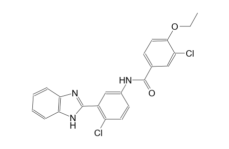 N-[3-(1H-benzimidazol-2-yl)-4-chlorophenyl]-3-chloro-4-ethoxybenzamide
