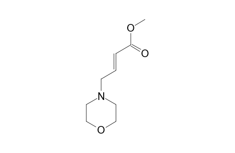 2-Butenoic acid, 4-(morpholin-4-yl)-, methyl ester