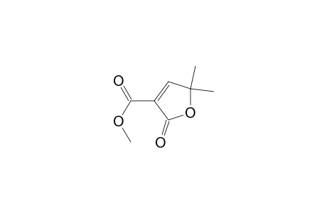 2-keto-5,5-dimethyl-furan-3-carboxylic acid methyl ester