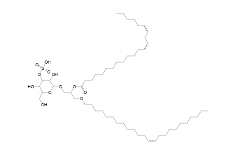 SMGDG O-24:1_22:2