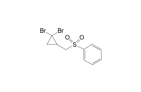 Cyclopropane, 1,1-dibromo-2-phenylsulfonylmethyl-