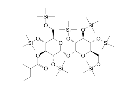 .alpha.-D-Glucopyranose, 1-o-(3-o-(2-methylbutanoyl)-.alpha.-D-glucopyranosyl), 7tms derivative