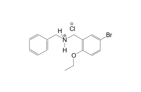 N-benzyl(5-bromo-2-ethoxyphenyl)methanaminium chloride