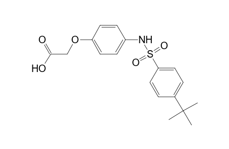 (4-{[(4-tert-butylphenyl)sulfonyl]amino}phenoxy)acetic acid