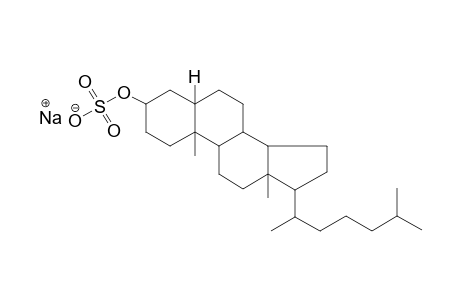 sodium (5alpha)-cholestan-3-yl sulfate