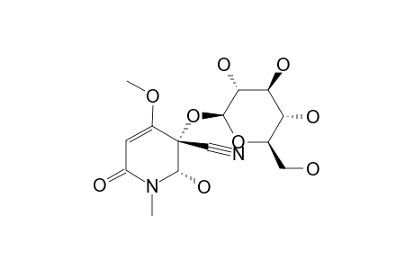 EPIACALYPHIN;(+)-(5R,6R)-5-CYANO-5-BETA-D-GLUCOPYRANOSYLOXY-6-HYDROXY-4-METHOXY-1-METHYL-2-(5,6-DIHYDRO)-PYRIDONE