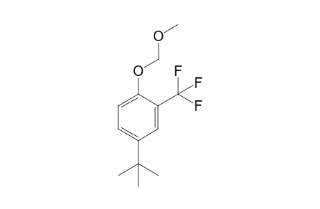 4-tert-Butyl-1-methoxymethoxy-2-trifluoromethylbenzene
