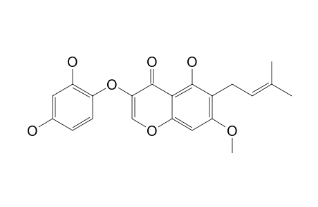 GLYASPENIN-E;3-(2',4'-DIHYDROXYPHENOXY)-5-HYDROXY-7-METHOXY-6-(3-METHYLBUT-2-ENYL)-CHROMEN-4-ONE