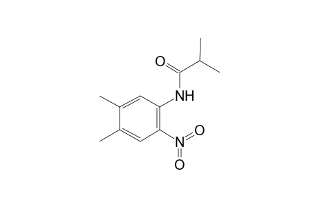 N-(4,5-dimethyl-2-nitro-phenyl)-isobutyramide