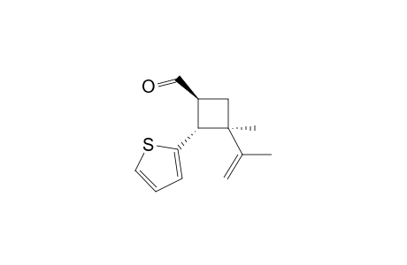 (1S,2R,3R)-3-isopropenyl-3-methyl-2-(2-thienyl)cyclobutanecarbaldehyde