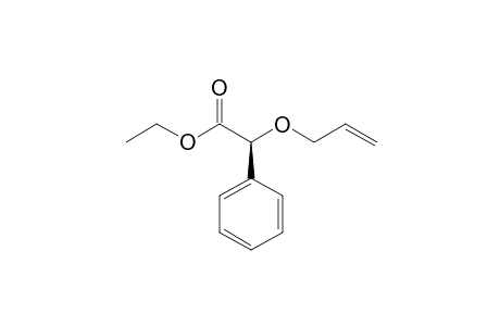 (2S)-2-allyloxy-2-phenyl-acetic acid ethyl ester