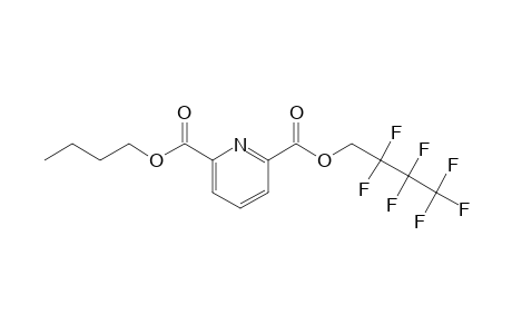 2,6-Pyridinedicarboxylic acid, 2,2,3,3,4,4,4-heptafluorobutyl butyl ester