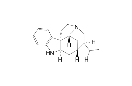 (+-)-Epitubifolidine
