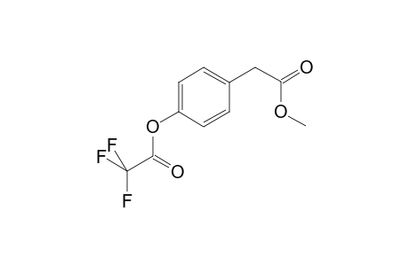 4-Hydroxyphenylacetic acid METFA    @
