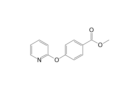 4-(2-pyridinyloxy)benzoic acid methyl ester