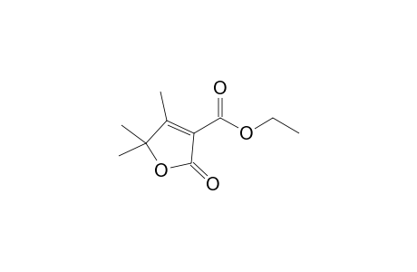 Ethyl 2,5-dihydro-4,5,5-trimethyl-2-oxofuran-3-carboxylate