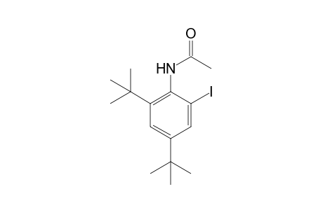 2',4'-di-tert-butyl-6'-iodoacetanilide