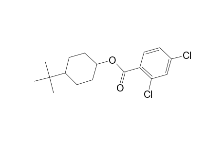 Benzoic acid, 2,4-dichloro-, 4-tert-butylcyclohexyl ester