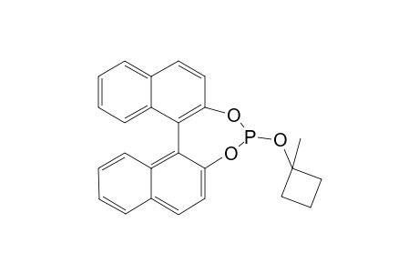 (Rax)-2-(1'-Methylcyclobut-1'-yloxy)dinaphtho[2,1-d:1',2'-f][1,3,2]dioxaphosphine
