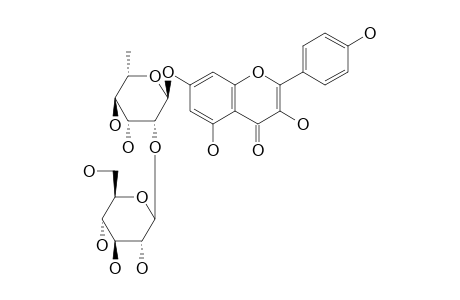 KAEMPFEROL_7-O-BETA-GLUCOPYRANOSYL-(1->2)-ALPHA-RHAMNOPYRANOSIDE;CHIIRIRHAMNIN
