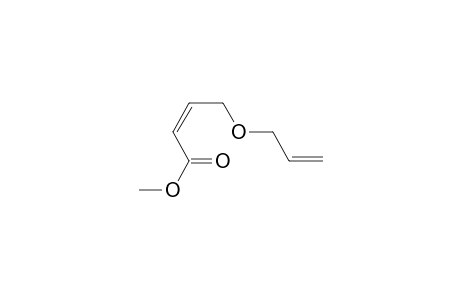 Methyl (Z)-4-[(2-Propenyl)oxy]-2-butenoate