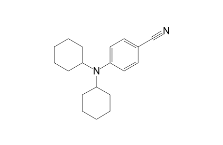 4-(Dicyclohexylamino)benzonitrile