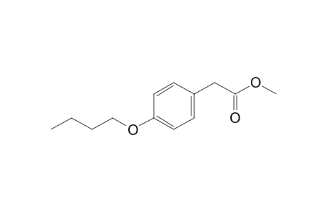 (p-butoxyphenyl)acetic acid, methyl ester