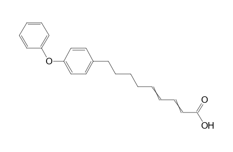 9-(Para-phenoxyphnyl)-2,4-nonadienoic acid