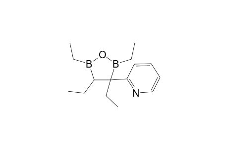 rac-2-Pyridine-(2,3,4,5-Tetraethyl-2,5-dihydro-1,2,5-oxadiborole)