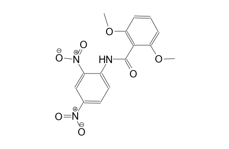 N-(2,4-dinitrophenyl)-2,6-dimethoxybenzamide