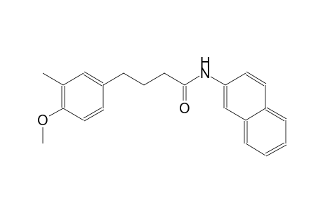 4-(4-methoxy-3-methylphenyl)-N-(2-naphthyl)butanamide