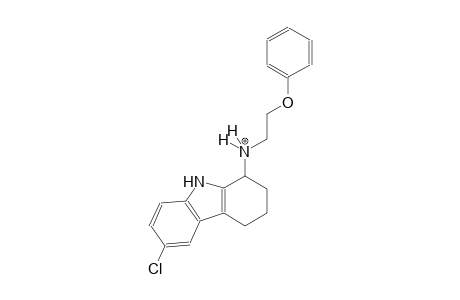 6-chloro-N-(2-phenoxyethyl)-2,3,4,9-tetrahydro-1H-carbazol-1-aminium