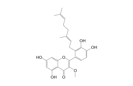 (E)-2-(2-(3,7-dimethylocta-2,6-dien-1-yl)-3,4-dihydroxyphenyl)-5,7-dihydroxy-3-methoxy-4H-chromen-4-one