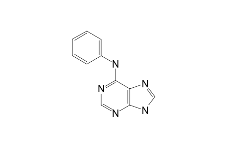 6-PHENYLAMINO-PURINE