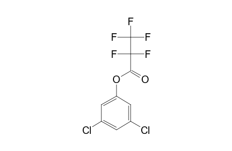 3,5-Dichlorophenol, pentafluoropropionate