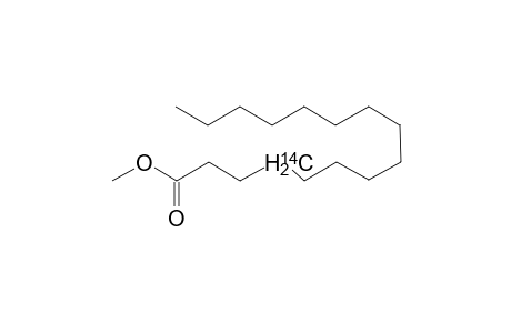Methyl [G-(14)-C] palmitate