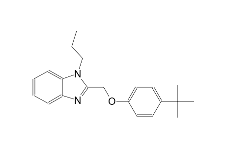 2-[(4-tert-butylphenoxy)methyl]-1-propyl-1H-benzimidazole