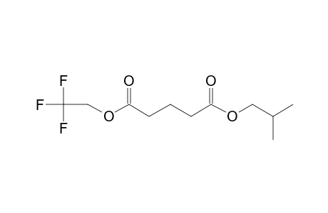 Glutaric acid, 2,2,2-triluoroethyl isobutyl ester